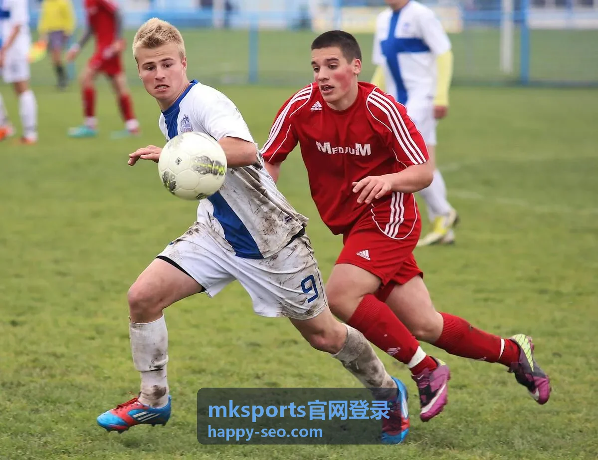 mksports官网登录入口页面主视觉
