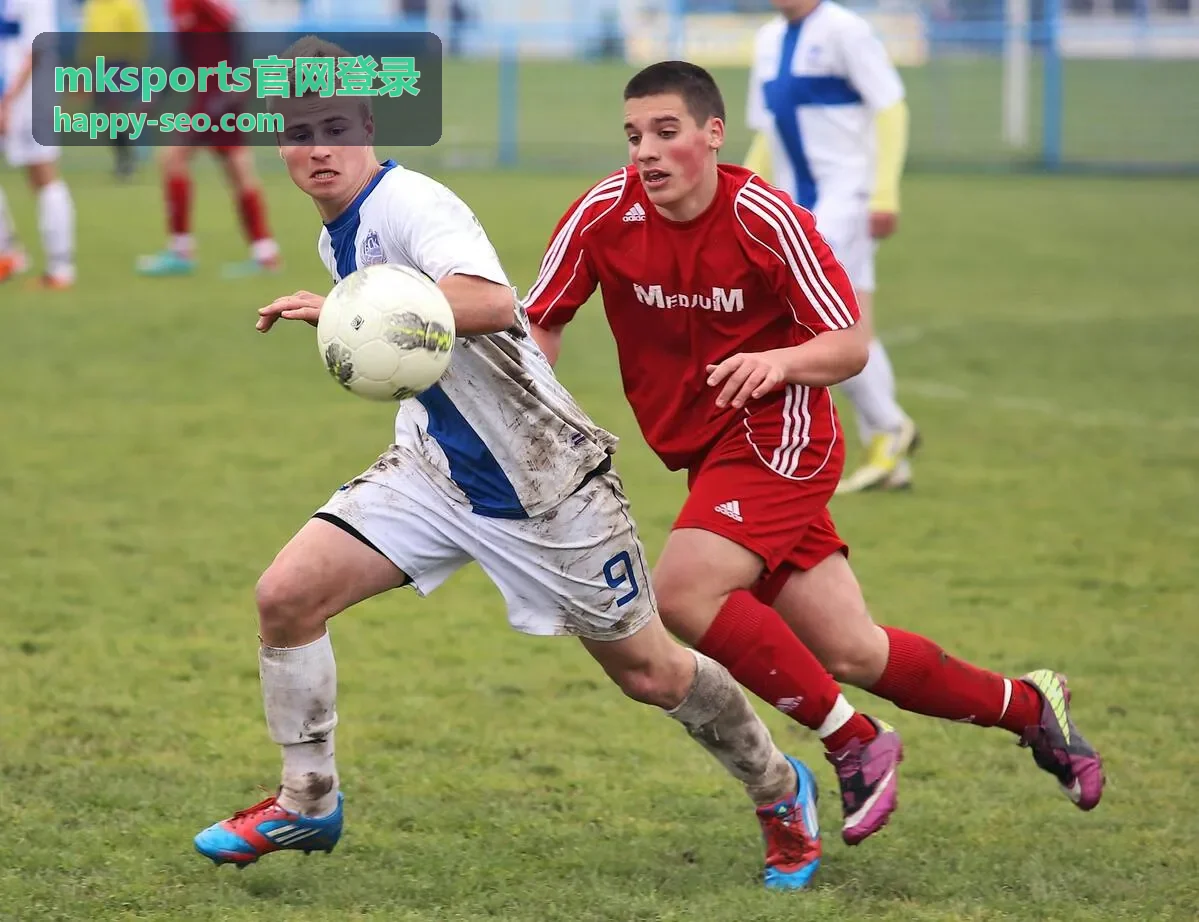 mksports官网登录首次登录安全检查说明