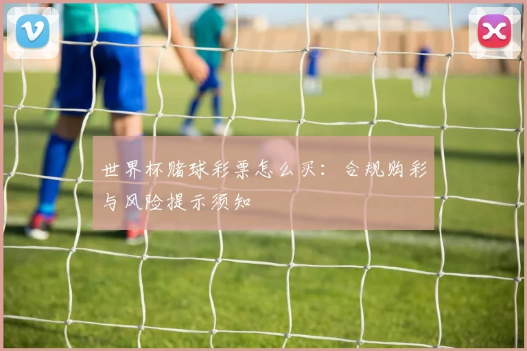 世界杯赌球彩票怎么买：合规购彩与风险提示须知