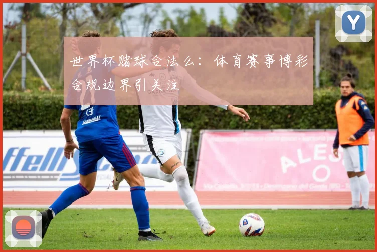 世界杯赌球合法么：体育赛事博彩合规边界引关注