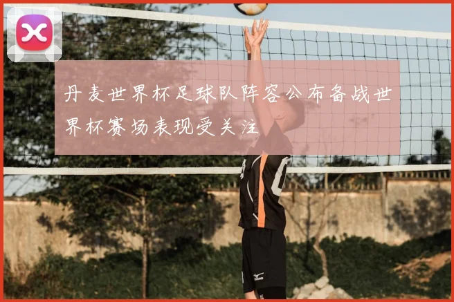 丹麦世界杯足球队阵容公布备战世界杯赛场表现受关注