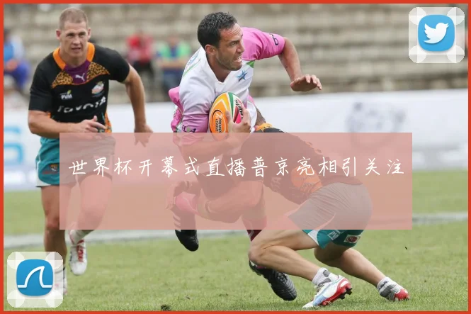 世界杯开幕式直播普京亮相引关注