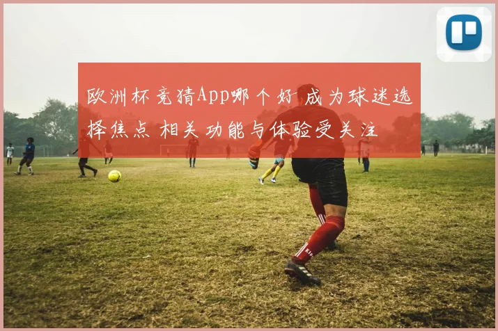 欧洲杯竞猜App哪个好 成为球迷选择焦点 相关功能与体验受关注