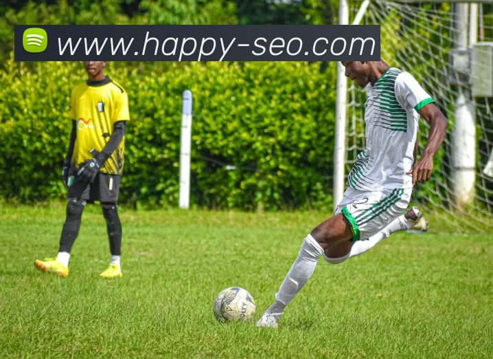 易倍emc官网怎么样平台生态图